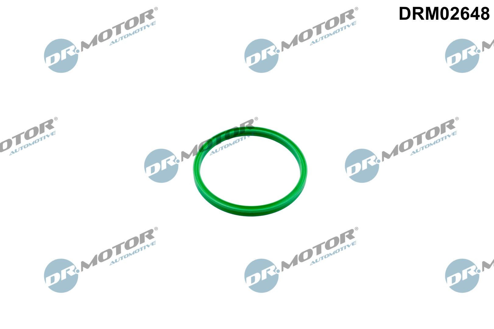 DR.MOTOR AUTOMOTIVE Seal, turbo air hose Article number: DRM02648 cheaply