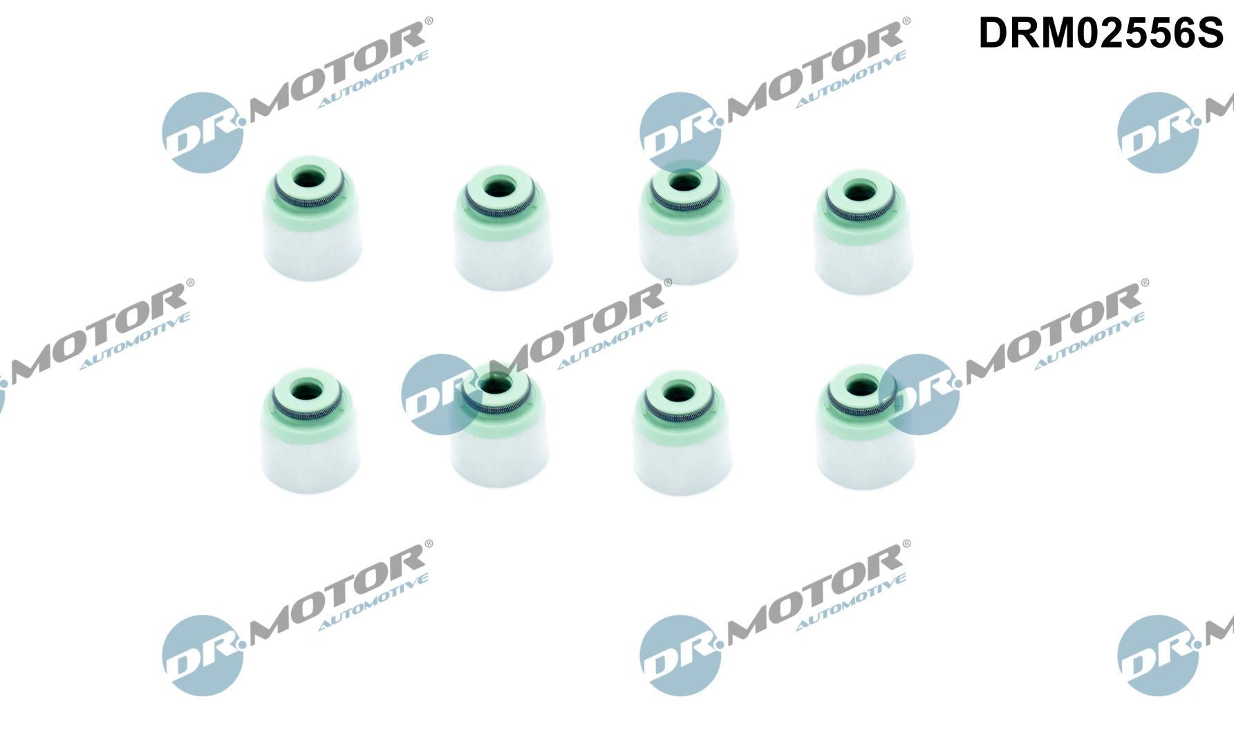 DR.MOTOR AUTOMOTIVE Pakningssæt, ventilarm Varenummer: DRM02556S billige