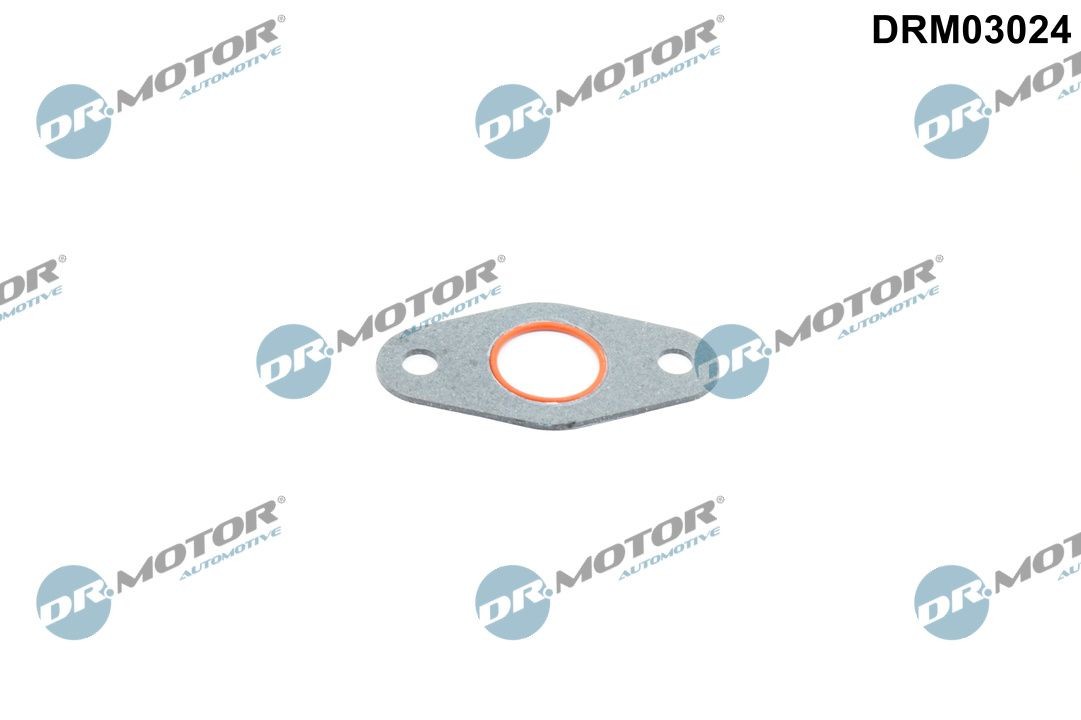 DR.MOTOR AUTOMOTIVE Oil cooler gasket Article number: DRM03024 cheaply