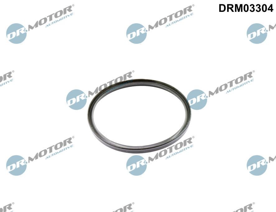 DR.MOTOR AUTOMOTIVE Seal, turbo air hose Article number: DRM03304 cheaply