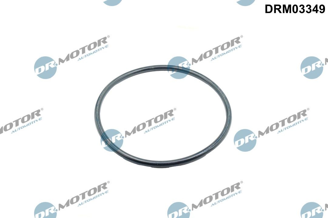 DR.MOTOR AUTOMOTIVE Gasket, intake manifold housing Article number: DRM03349 cheaply