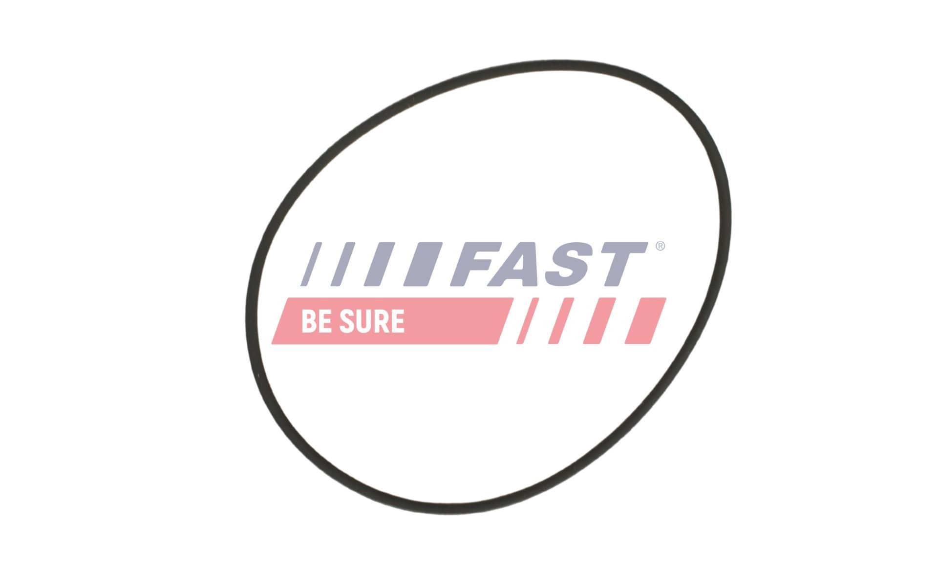FAST Seal, coolant tube Article number: FT49932 cheaply