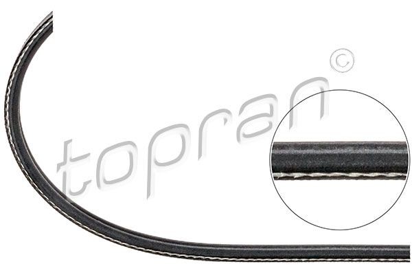 TOPRAN Serpentine belt Article number: 108 567 cheaply