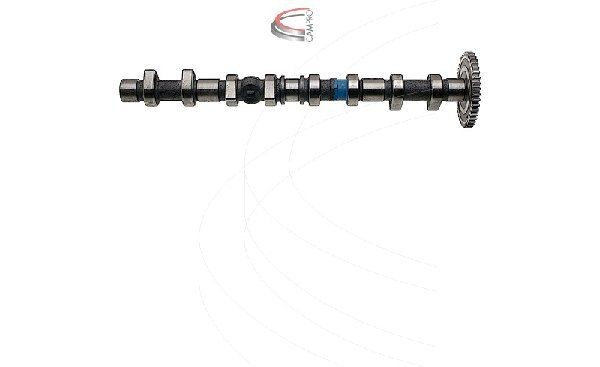 CAMPRO Camshaft Article number: CP11919 cheaply