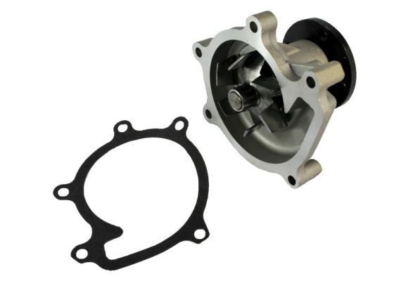 THERMOTEC Water pump Article number: D12074TT cheaply