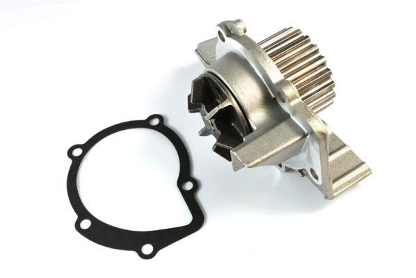 THERMOTEC Water pump Article number: D1F061TT cheaply