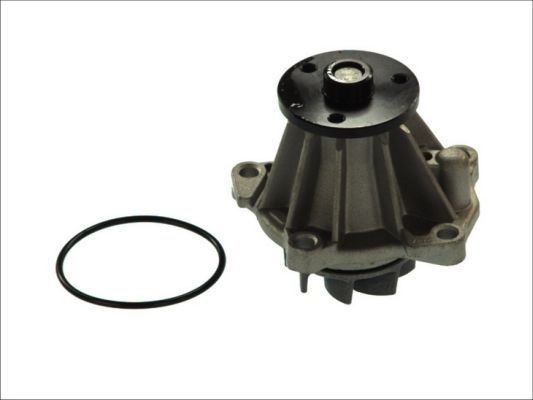 THERMOTEC Vandpumpe Varenummer: D1G033TT billige