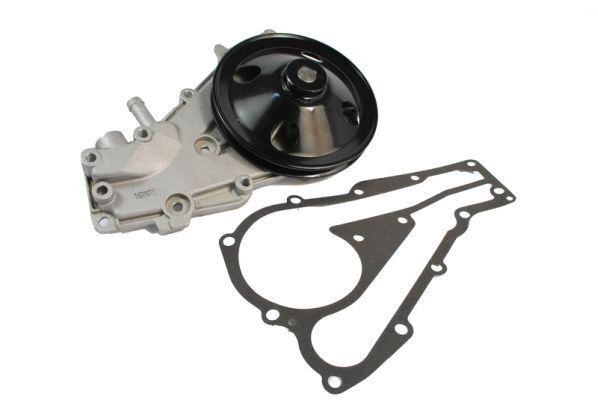 THERMOTEC Water pump Article number: D1R018TT cheaply