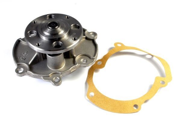 THERMOTEC Water pump Article number: D1X049TT cheaply