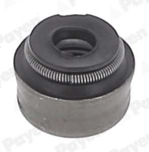 PAYEN Valve stem seal Article number: PA5025 cheaply