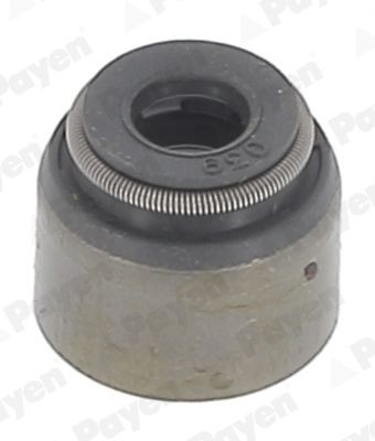PAYEN Valve stem seal Article number: PA6055 cheaply