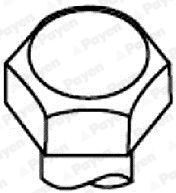 PAYEN Bolt Kit, cylinder head Article number: HBS001 cheaply
