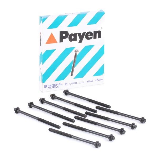 PAYEN Bolt Kit, cylinder head Article number: HBS039 cheaply
