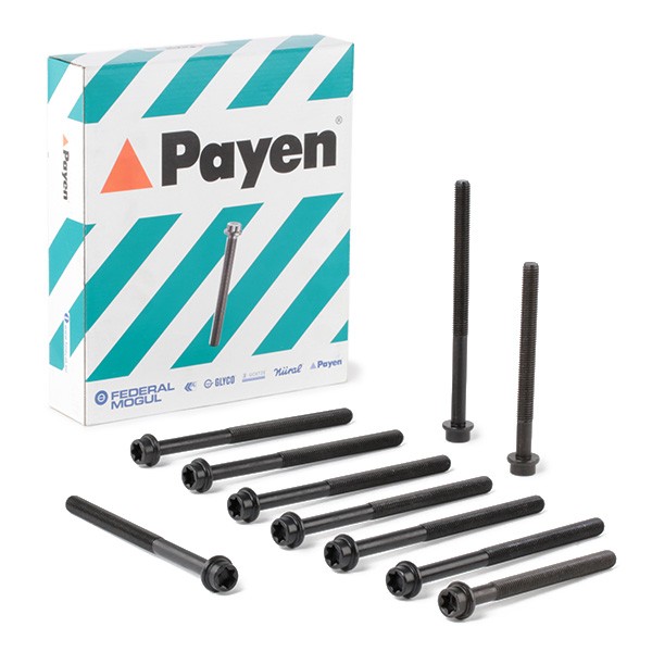 PAYEN Bolt Kit, cylinder head Article number: HBS243 cheaply