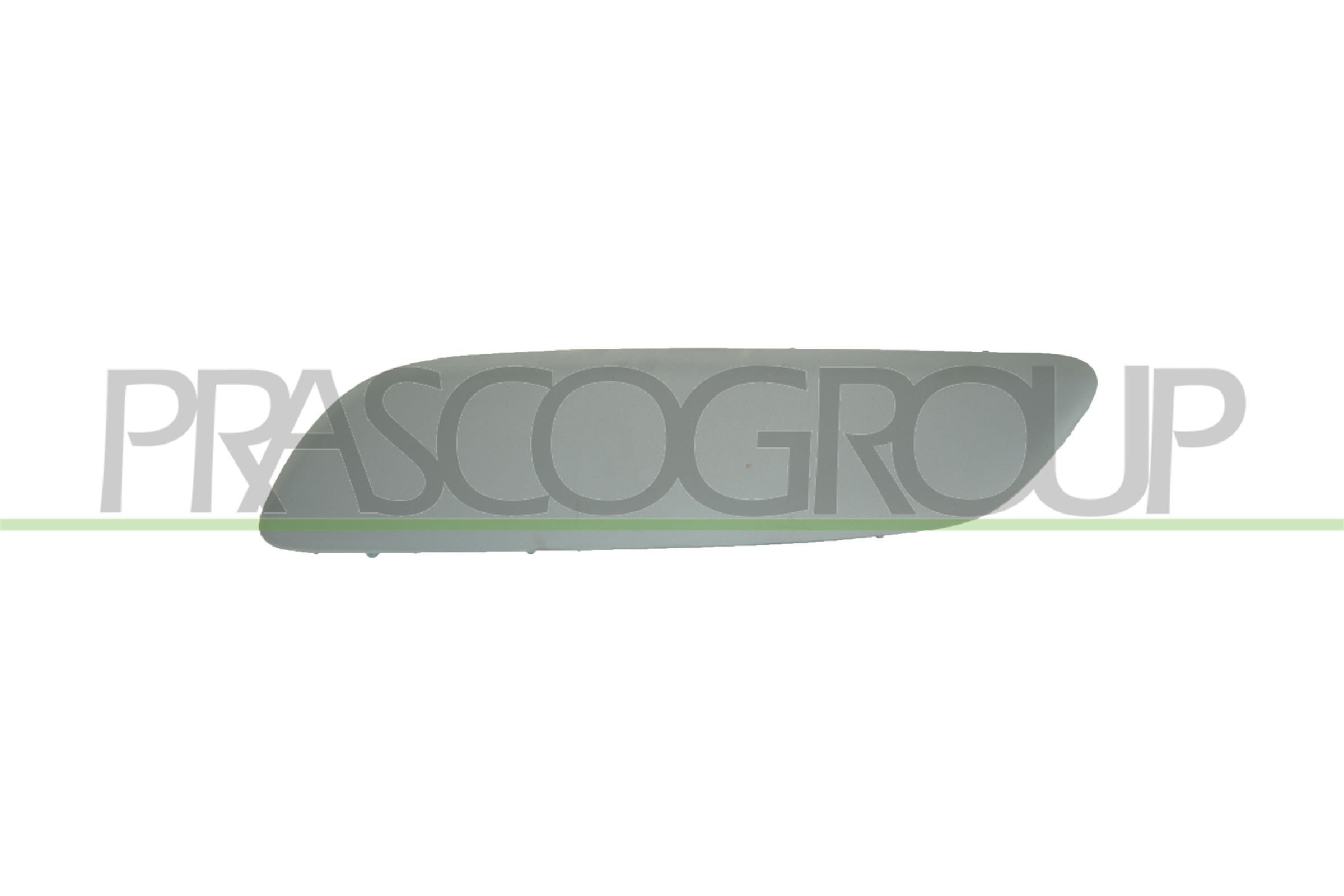 PRASCO Bumper moulding Premium Article number: PG4221244 cheaply