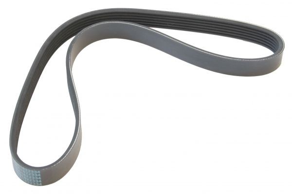MAPCO Serpentine belt Article number: 260845 cheaply