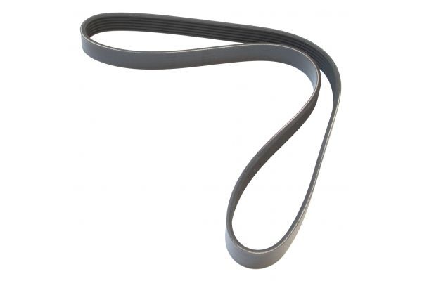 MAPCO Serpentine belt Article number: 261015 cheaply