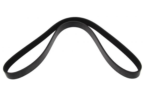 MAPCO Serpentine belt Article number: 261100 cheaply