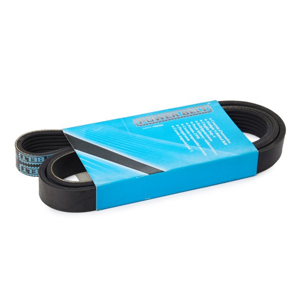 MAPCO Serpentine belt Article number: 261425 cheaply