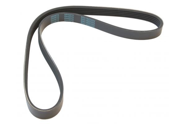 MAPCO Serpentine belt Article number: 250870 cheaply