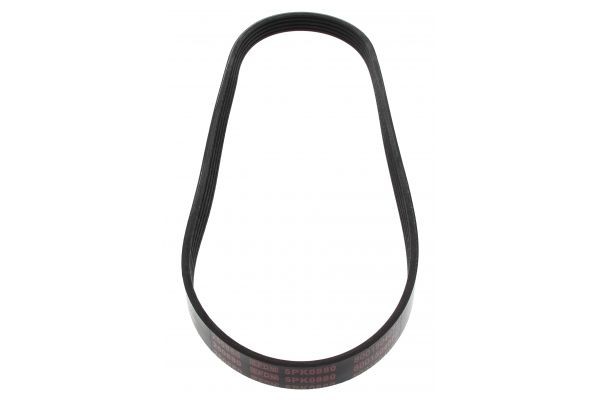 MAPCO Serpentine belt Article number: 250880 cheaply