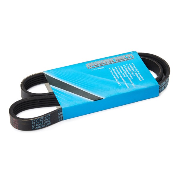 MAPCO Serpentine belt Article number: 250985 cheaply