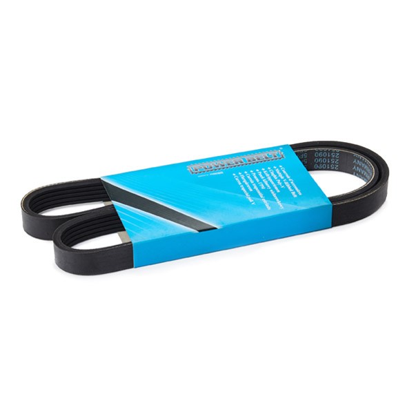 MAPCO Serpentine belt Article number: 251090 cheaply