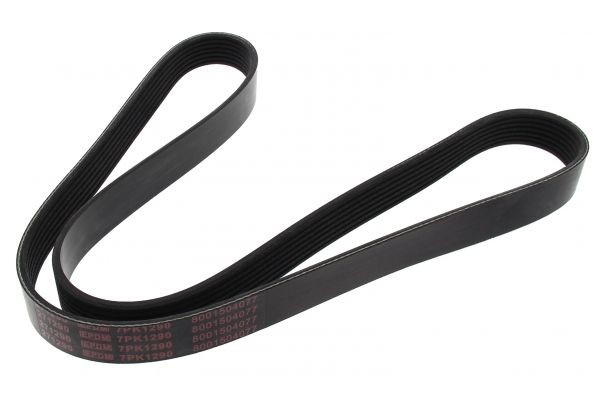 MAPCO Serpentine belt Article number: 271290 cheaply