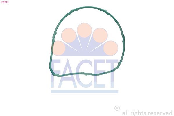 FACET Gasket, thermostat Article number: 7.9713 cheaply