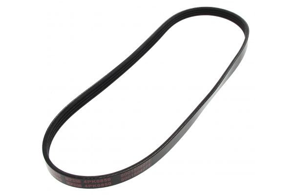 MAPCO Serpentine belt Article number: 240850 cheaply