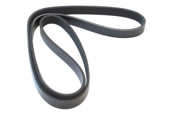 MAPCO Serpentine belt Article number: 261460 cheaply