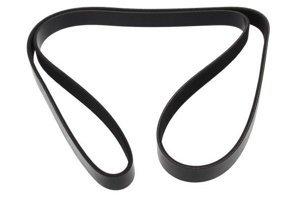 MAPCO Serpentine belt Article number: 261590 cheaply