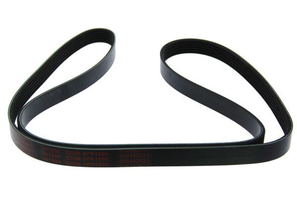 MAPCO Serpentine belt Article number: 261650 cheaply