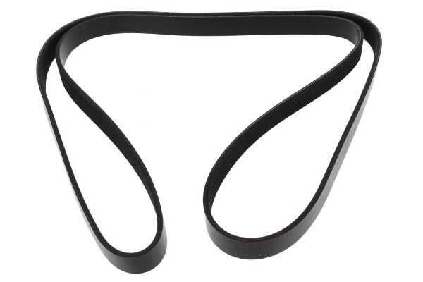 MAPCO Serpentine belt Article number: 261775 cheaply