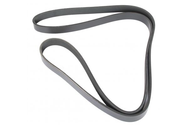 MAPCO Serpentine belt Article number: 261795 cheaply