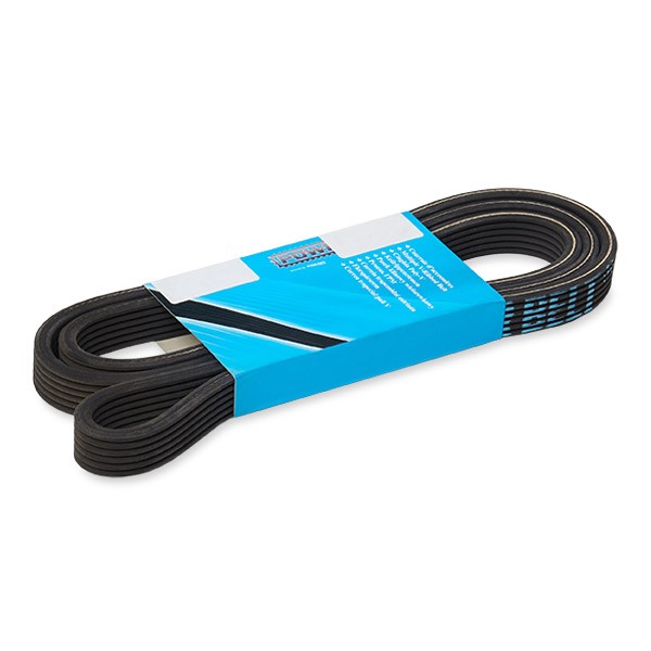 MAPCO Serpentine belt Article number: 261825D cheaply