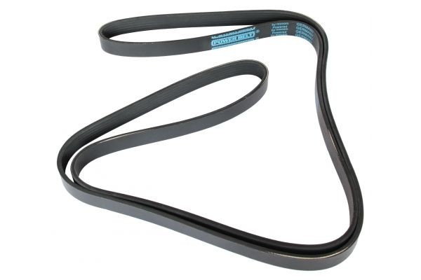 MAPCO Serpentine belt Article number: 262255 cheaply