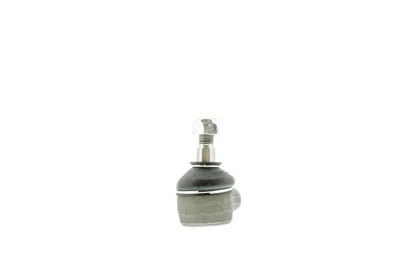 AISIN Water pump Article number: WE-RE01A cheaply