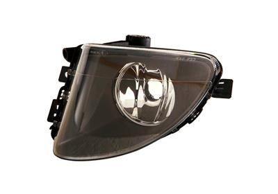 VAN WEZEL Fog Light Article number: 0617995 cheaply