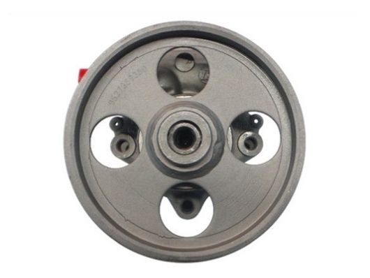 SPIDAN Power steering pump Article number: 53899 cheaply