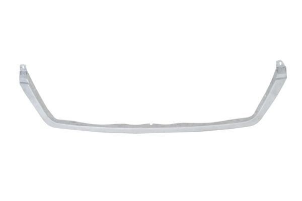 BLIC Trim / Protective Strip, radiator grille Article number: 6502-07-3546991P cheaply