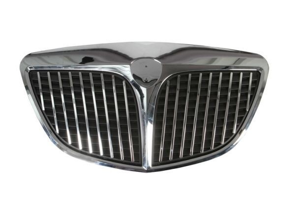 BLIC Radiator Grille Article number: 6502-07-3330992P cheaply