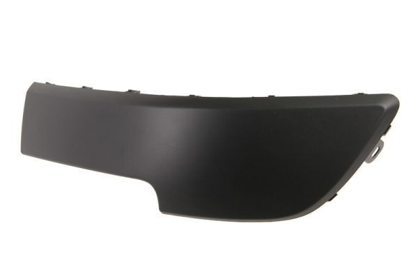 BLIC 5510-00-6042921P Bumper moulding SCÉNIC 1.9 dCi 120 PS Diesel 2010