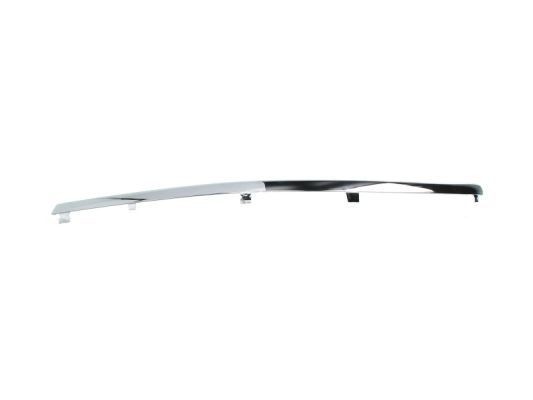 BLIC 5703-05-9539925P Bumper moulding PASSAT 2.8 4motion 190 PS Petrol 2005