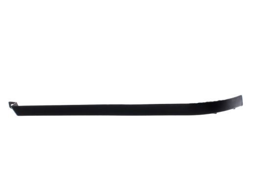 BLIC Headlight Trim Article number: 5410-01-35129912P cheaply