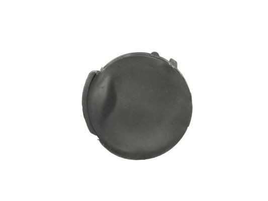 BLIC Bumper Cover, towing device Article number: 5513-00-5052920P cheaply