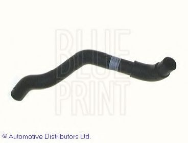 BLUE PRINT Furtun radiator număr articol: ADN19328 ieftin