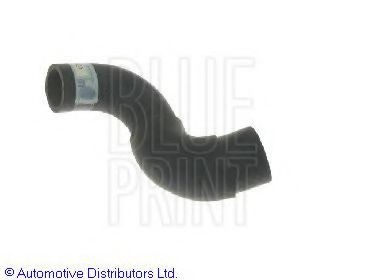 BLUE PRINT Radiator hose Article number: ADN19334 cheaply