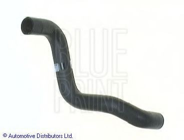 BLUE PRINT Radiator hose Article number: ADN19433 cheaply