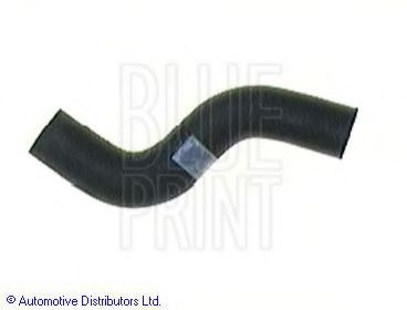 BLUE PRINT Radiator hose Article number: ADT39310 cheaply